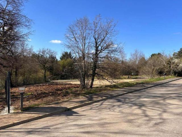 Messigny et Vantoux Vente Terrain 21