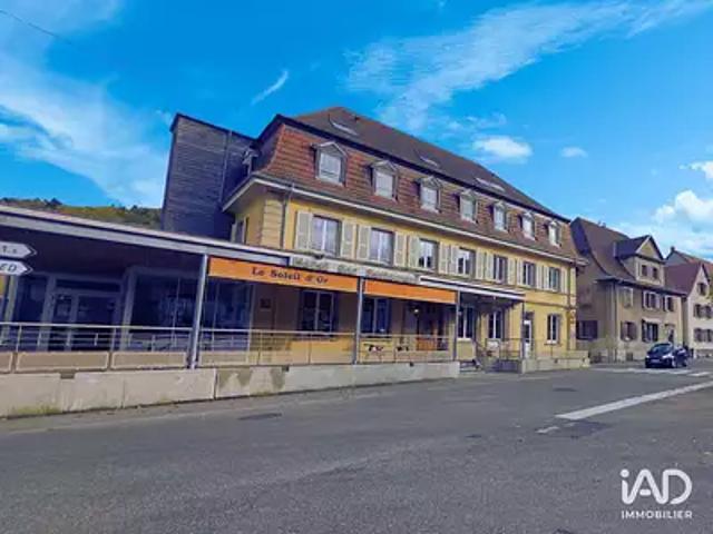 Metzeral 68380 Achat / Vente maison 11 pièces t11