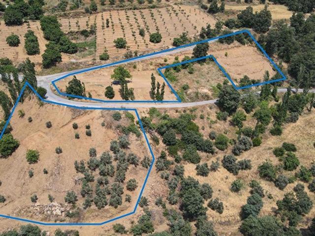 META'dan Kiraz Çanakçı da 2 adet yol kenarı teraslı tarla
