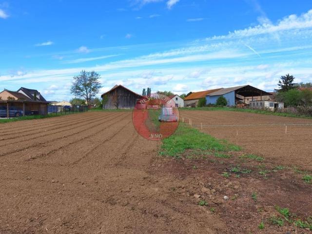 Meursanges Vente Terrain 21