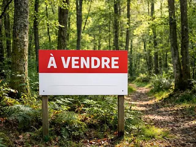 Meusnes 41130 Achat / Vente terrain