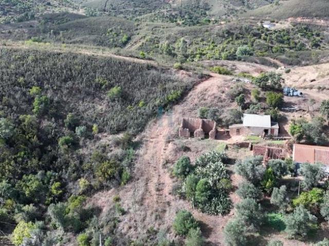 Mexilhoeira Grande Algarve 98403755
