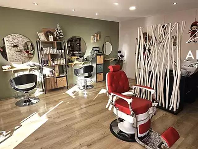 Meximieux 01800 Achat / Vente divers