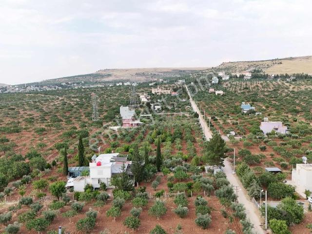 Mhr Grouptan Kırkpınar'da Satılık Bağ Evi