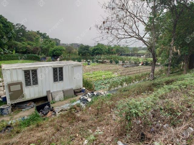 米埔