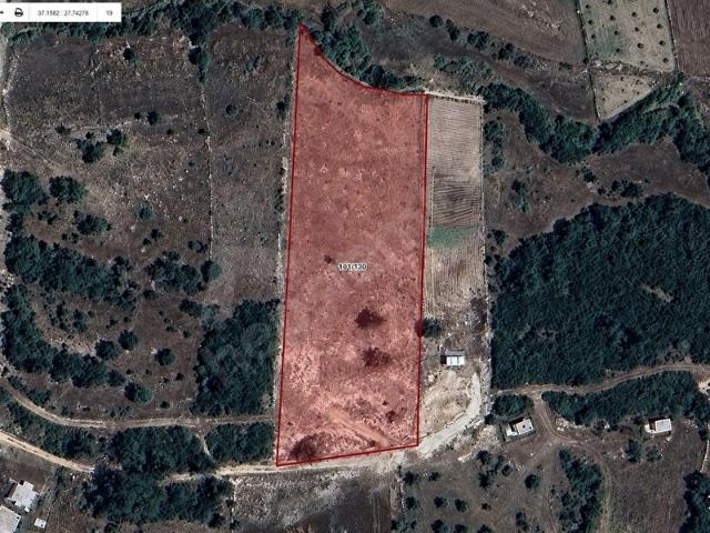 MİLAS ÇAMKÖY'DE *150 AD. CEVİZ AĞAÇLI *7.521 m *MESKEN VASIFLI