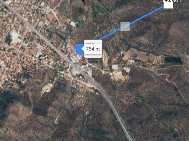 MİLAS BAFA'DA ZEYTİNLİK