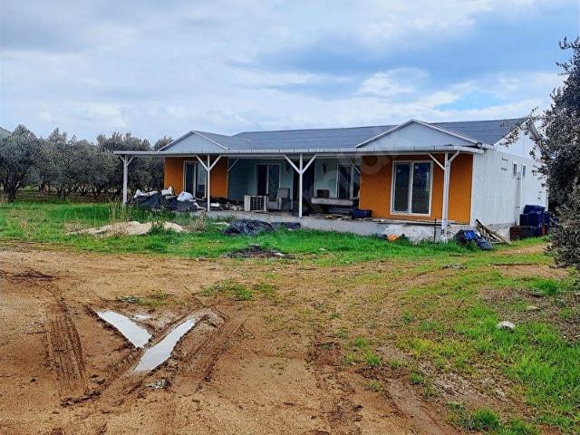 MİLAS BAHÇEYENİ SATILIK 30.000 M2 İÇİNDE ÇİFTLİK