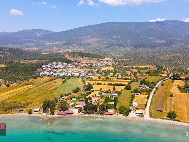 ACİL YATIRIM FIRSATI! MİLAS GÜRCAMLARDA YATIRIMLIK FIRSAT