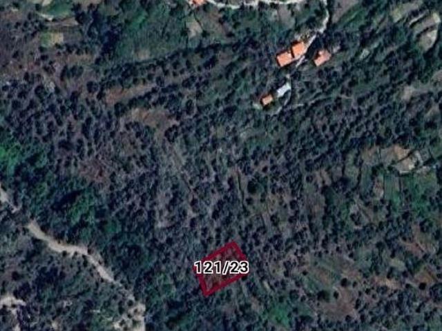 MİLAS KAYABAŞINDA SATILIK ZEYTİNLİK