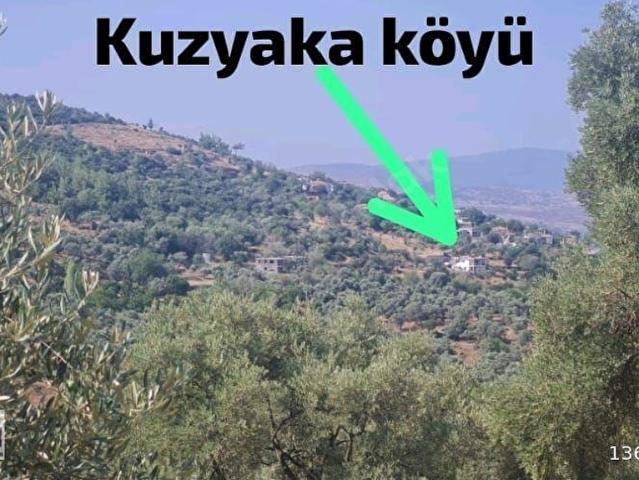MİLAS KUZYAKA KÖYÜ'NDE SATILIK HİSSELİ TARLA YATIRIM VE TAKAS