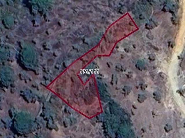 MİLAS ÇOMAKDAĞ MAHALLESİNDE 632 M2 SATILIK ZEYTİNLİK