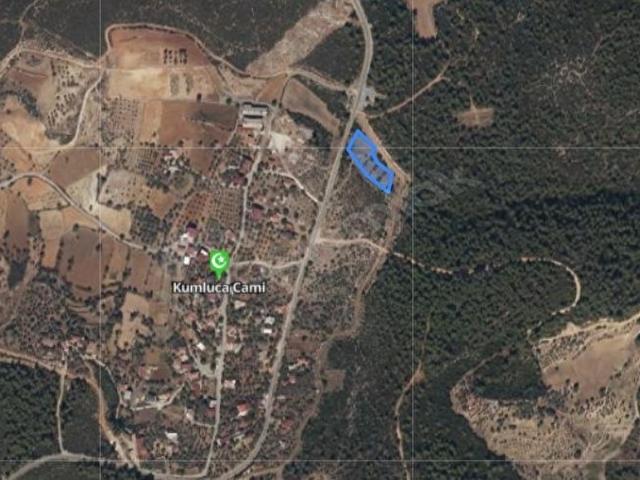 MİLAS PİNAR MH. SATILIK TARLA