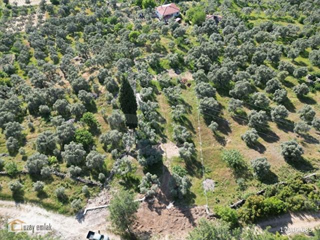 MİLAS TUZABAT KÖYÜNDE SATILIK DOĞA İÇİNDE 1.800 m TARLA