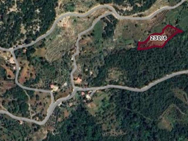 MİLAS YOĞUNOLUKTA 5.329 m YATIRIMLIK DOĞAYLA İÇ İÇE TARLA