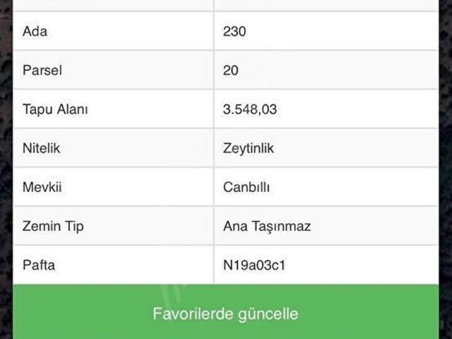 MİLAS YATIRIMLIK ZEYTİNLİK