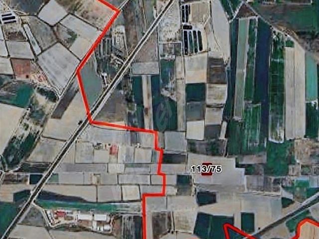 MİLAS YAŞYER KÖYÜNDE FIRSAT ARSA 1727M2 MÜSTAKİL PARSEL