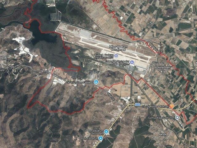 MİLASBODRUM HAVALİMANI ARKASINDA ŞAHANE KONUMDA ZEYTİNLİK