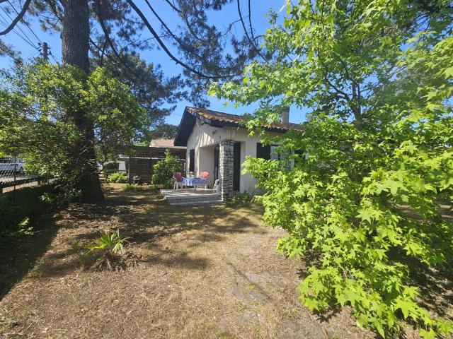 Mimizan Plage Sud 65m² Mimizan