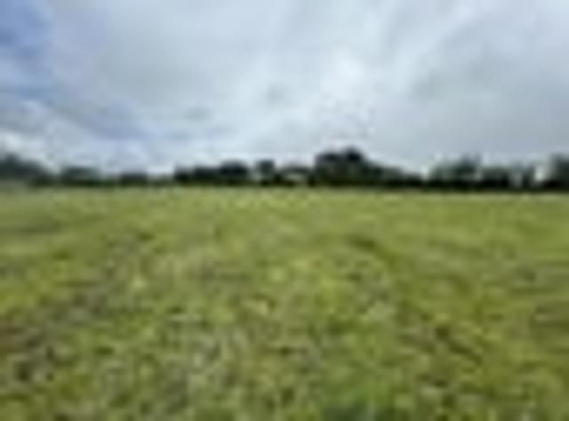 Minutes from Inglewood