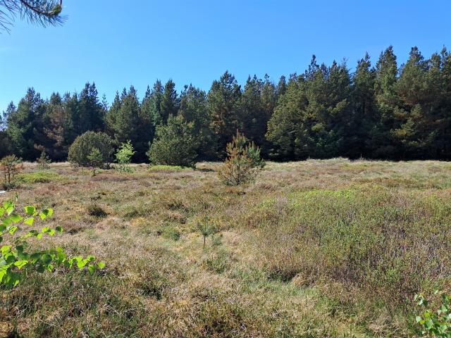 Minesvej 10