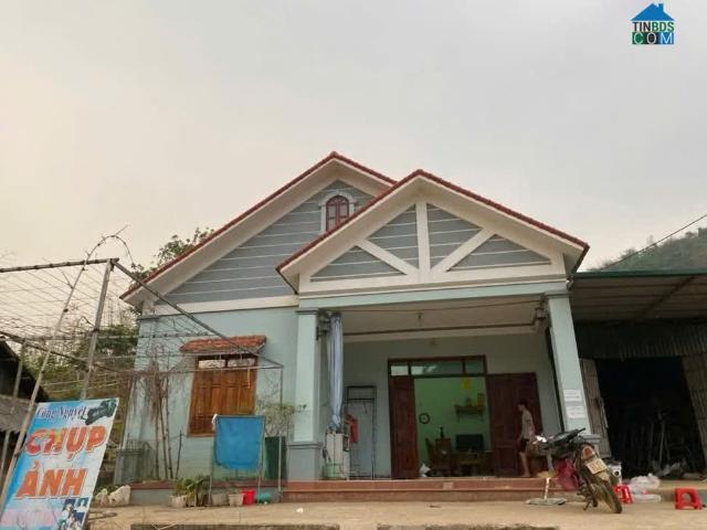Mình Cần Chuyển Nhượng Ngôi Nhà Ở X. Mùn Chung H.Tuần Giáo Điện Biên 126M2