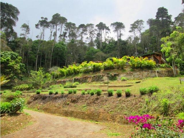 Mini Finca en La Suiza San Antonio De Los Altos