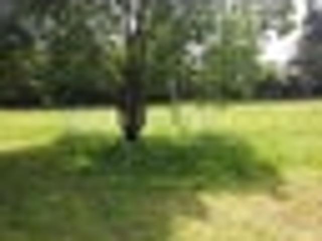 Minimal covenants! Private 5000m2 section
