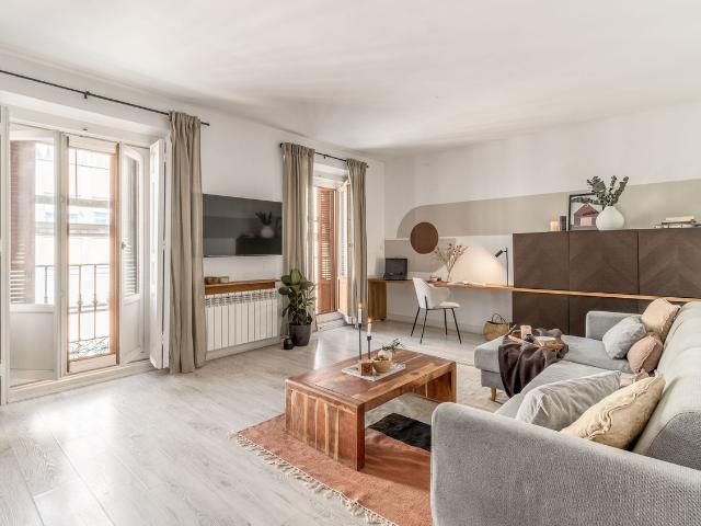 Minimalist 1 Bedroom Apartment with Dried Plant Decor and Dedicated Workspace in Justicia, Madrid Amsterdam Apartments for Rent