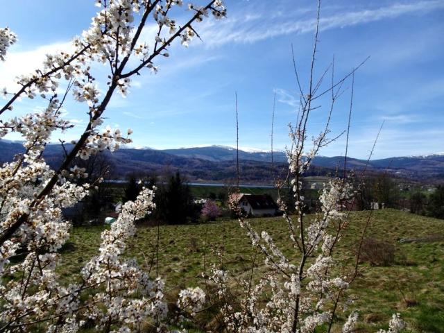 Miodowa 2 100 m², Marczyce