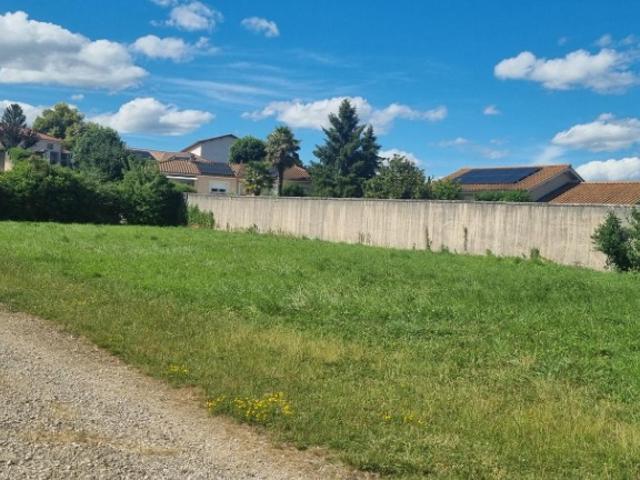 Mionnay Vente Terrain 01