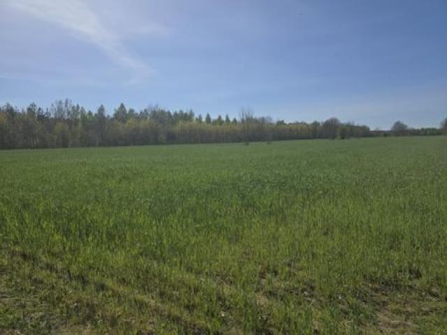 Michałów, 19200 m² Działka