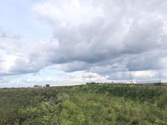 Działka 4875 m² w Suchym Lesie, pierwsza linia, media