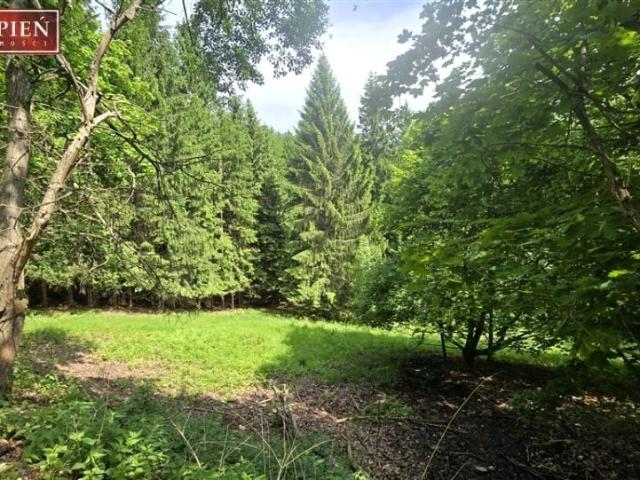 Michałowicka 4 750 m², Jelenia Góra