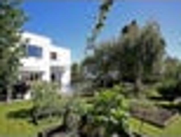 Mid Century Haven