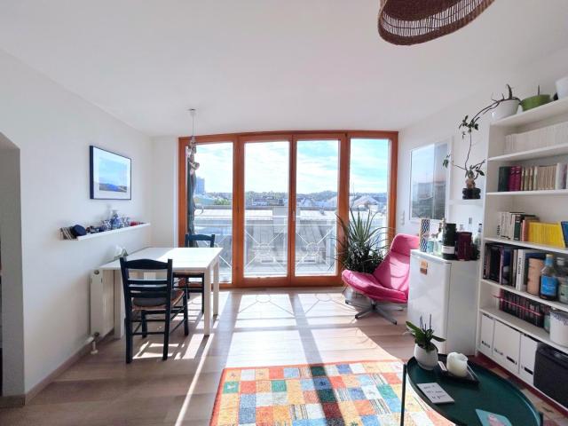 Miete Wohnung in Linz Linz/Stadt: Dachgeschosswohnung 2 Zimmer mit herrlichem Fernblick in der Schubertstraße