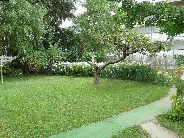 Mietwohnung mit Gartenmitbenutzung, Nähe LKH und Med Uni