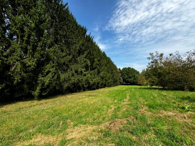 Mieczysławy Ćwiklińskiej 3 316 m², Rzeszów
