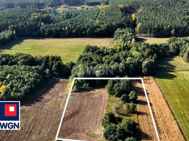 Mienice 6 398 m², Mienice