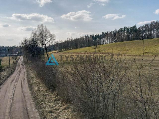 Mierzeszyn, Leśna, 61 100 m2