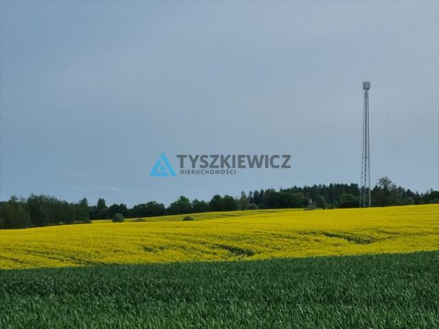 Mierzeszyn, 115 200 m2