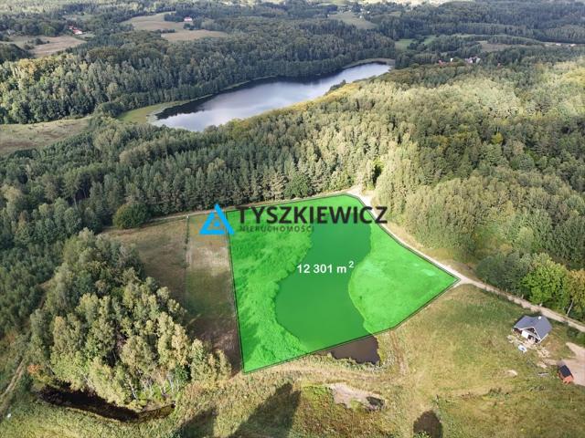 Mierzeszyn, 12 301 m2