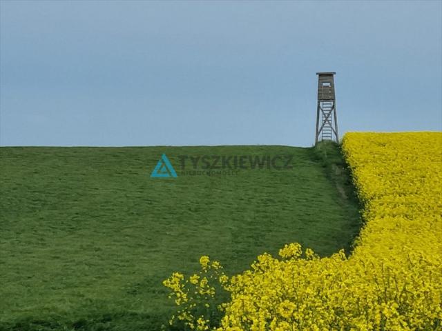 Mierzeszyn, 44 200 m2