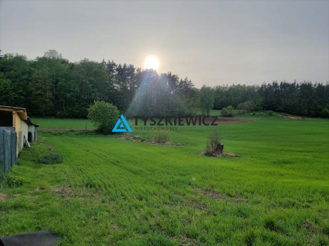 Mierzeszyn, 71 000 m2