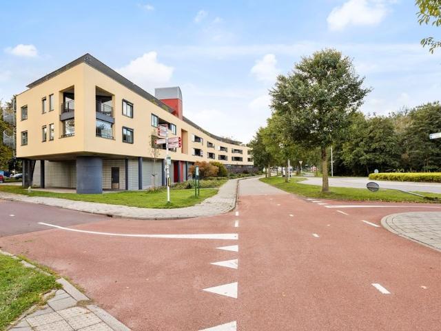 Mies Ruthplaats 30, 2331RJ, Leiden, Zuid Holland 2331RJ