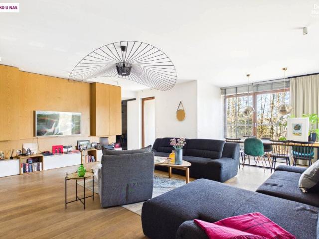Mieszkanie m5 z kuchnią z oknem 166 m² na wynajem ul. Orzeszkowej, Niemcz