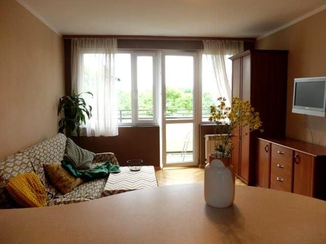 Mieszkanie m2 z aneksem kuchennym 36,45 m² na wynajem Wrocław, Stare Miasto