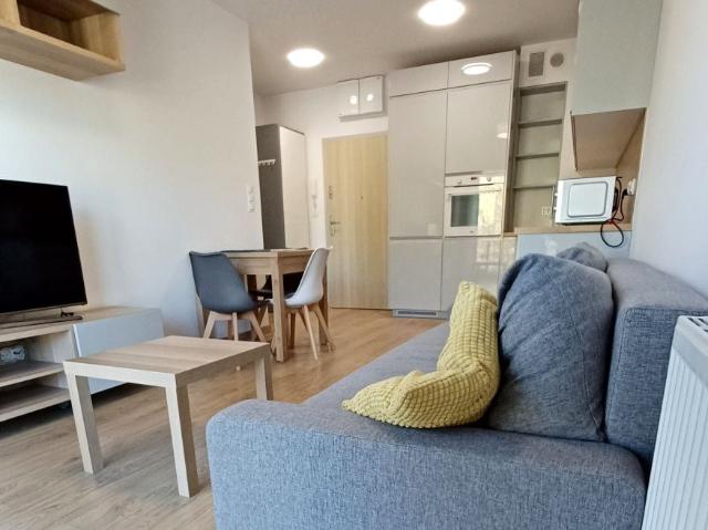 Mieszkanie m2 z aneksem kuchennym 40 m² na wynajem Wrocław, Maślice