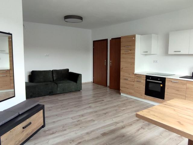 Mieszkanie m2 z aneksem kuchennym 50 m² na wynajem Nowodworze
