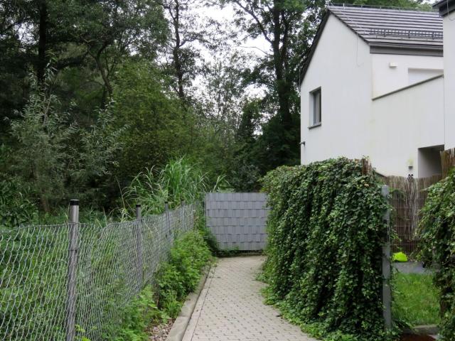 Mieszkanie m3 z aneksem kuchennym 63 m² na wynajem ul. Daliowa, Wrocław, Pawłowice